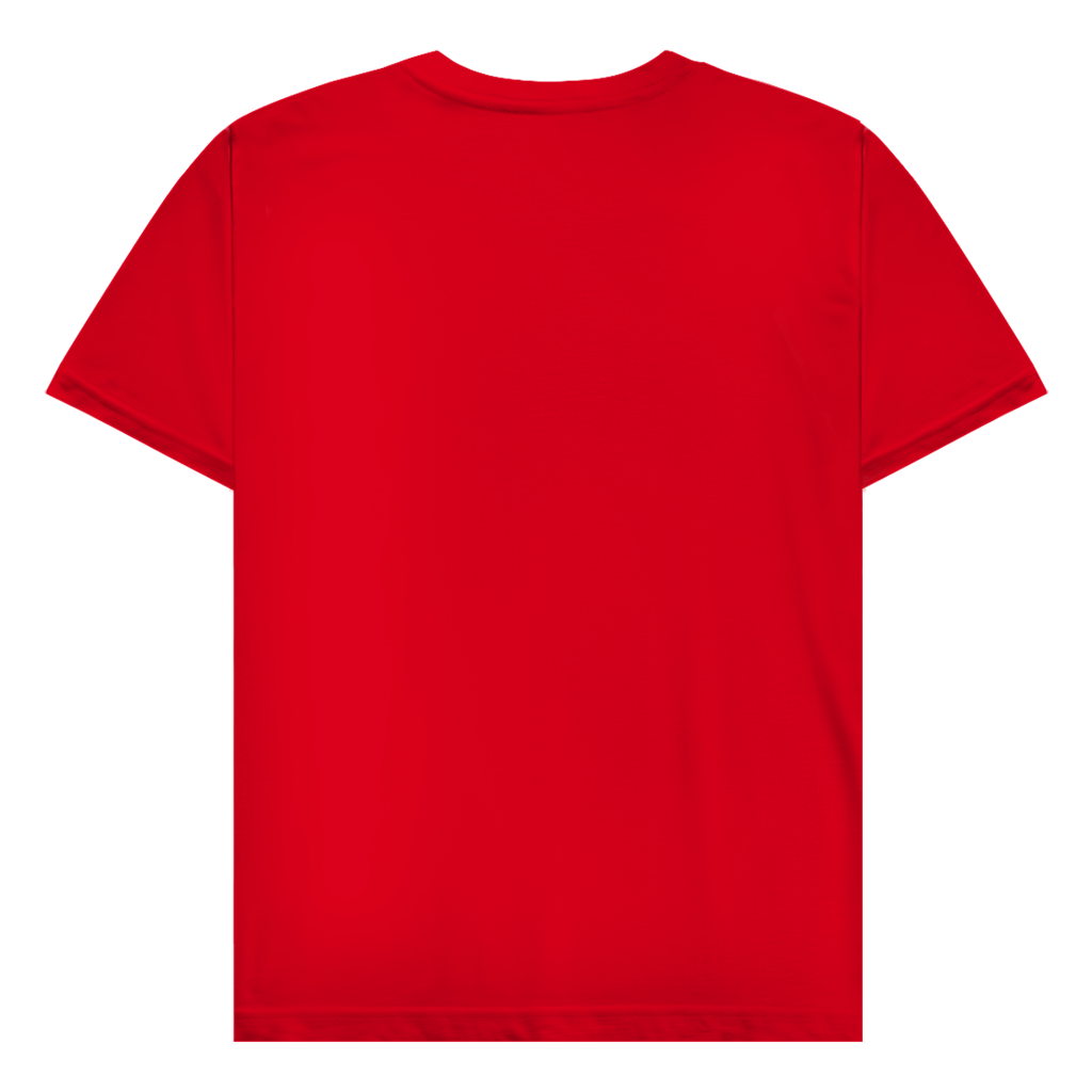 Herren T-Shirt Bier vor Vier Van || Premium Hoodie unisex