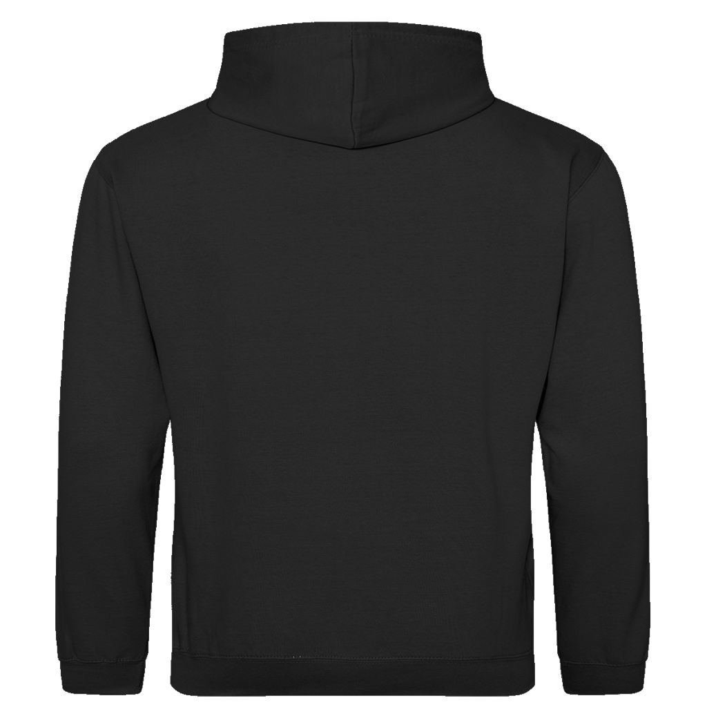 Bier vor Vier Van || Premium Hoodie unisex